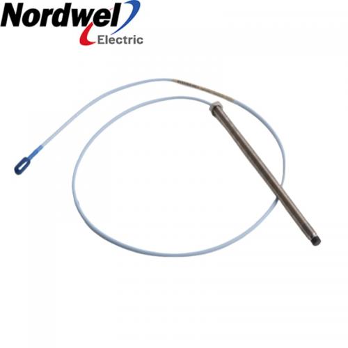 Bently Nevada 330101-00-75-20-02-00