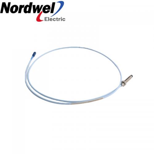 Bently Nevada 330101-00-12-90-02-00